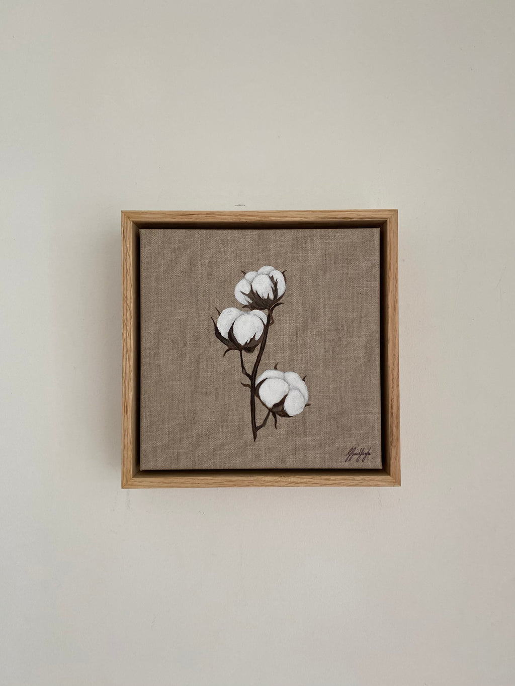 Cotton Stem IV