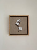 Cotton Stem IV