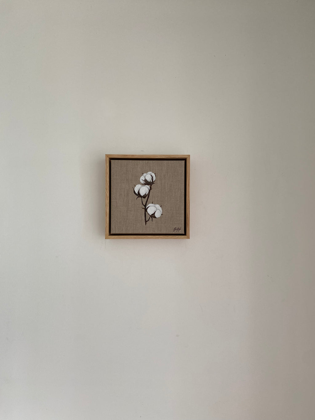 Cotton Stem IV