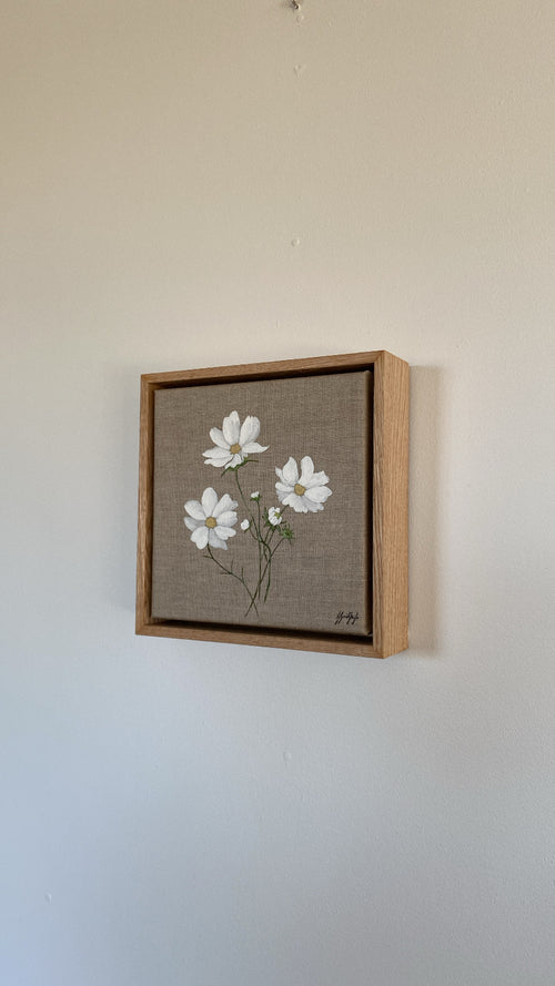 'Cosmos'