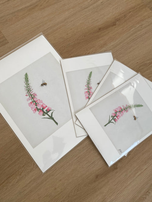 'Foxglove & Bee' Print (4 sizes)