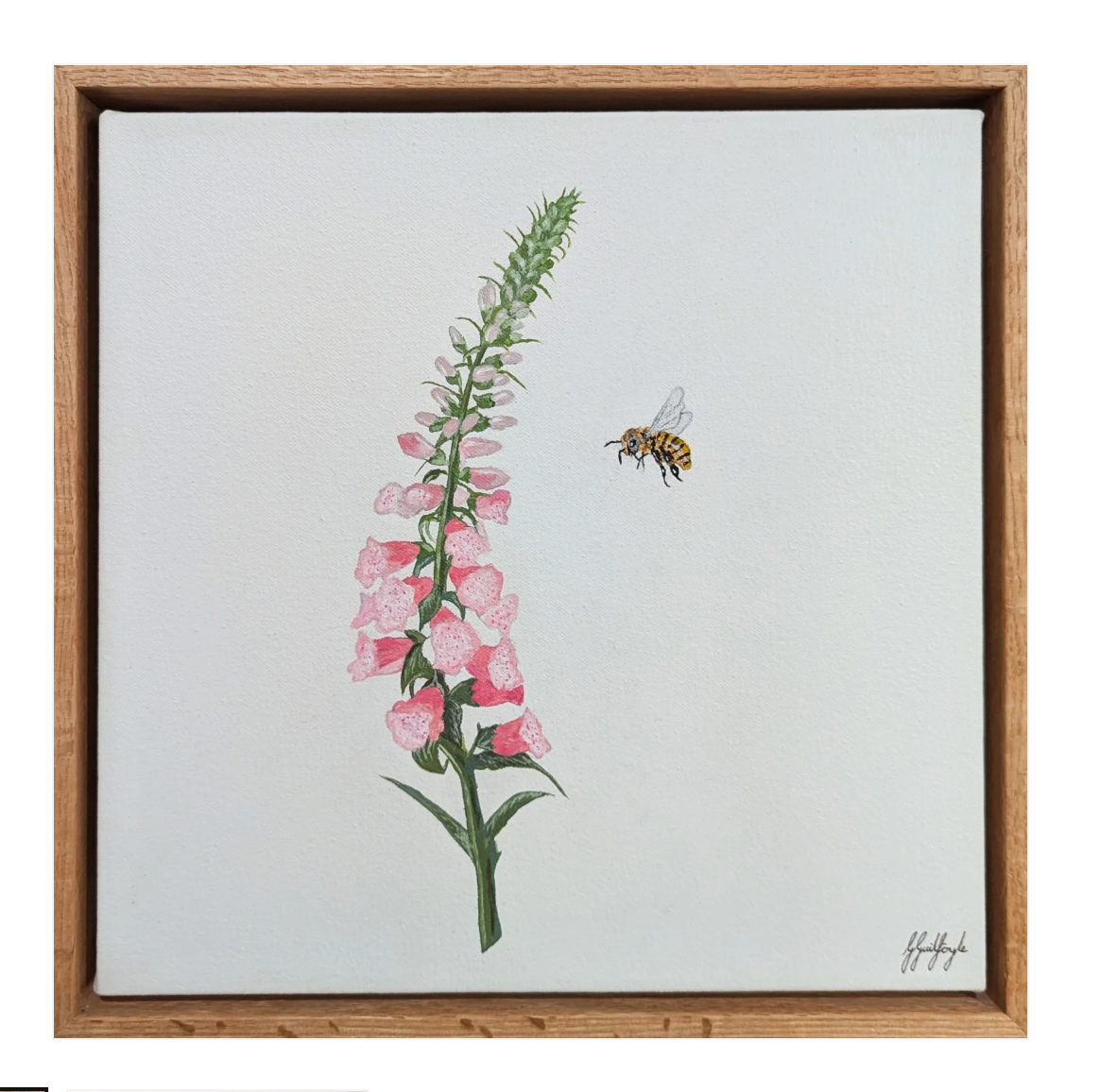 'Foxglove & Bee' Print (4 sizes)