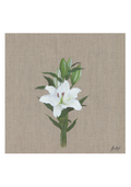 'Lily' Print (4 sizes)