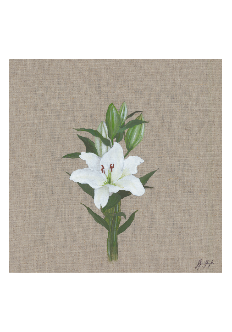 'Lily' Print (4 sizes)