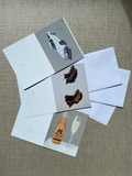 Assorted pack of 'The Essentials' greeting cards