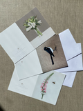 Assorted pack of 'Feather and flowers' greeting cards