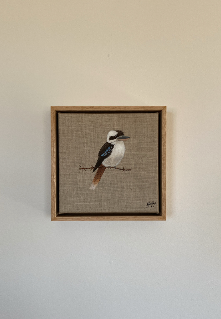 'Kookaburra'