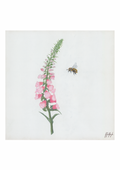 'Foxglove & Bee' Print (4 sizes)
