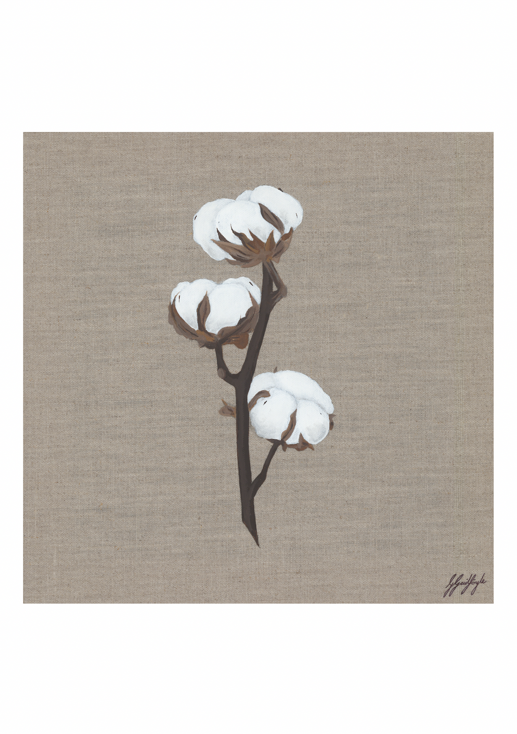 'Cotton Stem' Print (4 sizes)