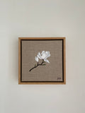 White Magnolia